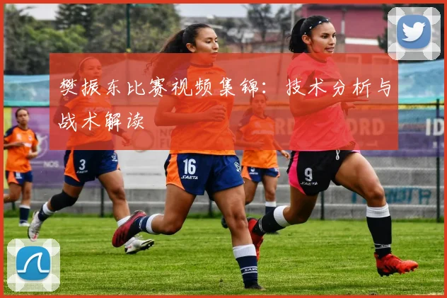 樊振东比赛视频集锦：技术分析与战术解读