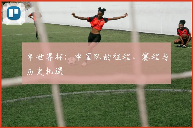 年世界杯：中国队的征程、赛程与历史机遇