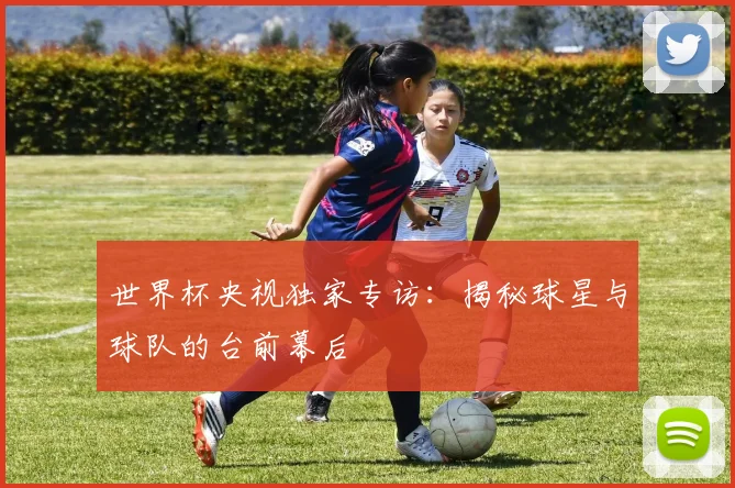 世界杯央视独家专访：揭秘球星与球队的台前幕后