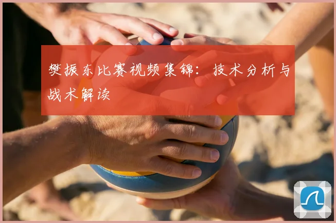 樊振东比赛视频集锦：技术分析与战术解读